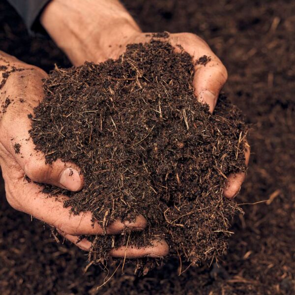 mains avec du terreau pour plantes hautes de Terre Suisse.