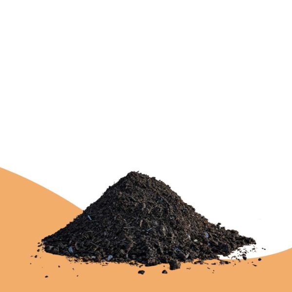 Miglioramento del suolo con il biochar