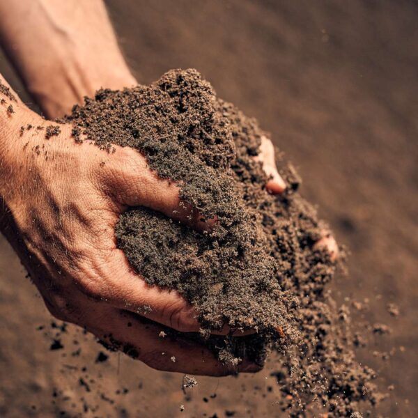 Hände mit Terre Suisse Gartenerde für die Gartengestaltung.